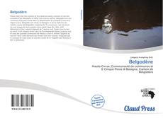 Copertina di Belgodère