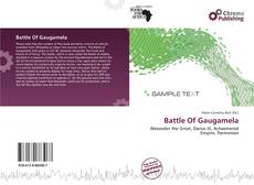 Copertina di Battle Of Gaugamela