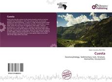 Copertina di Cuesta