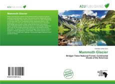 Mammoth Glacier的封面
