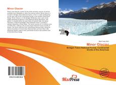 Minor Glacier的封面