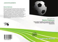 Portada del libro de Denis Calincov