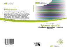 Žydrūnas Ilgauskas的封面