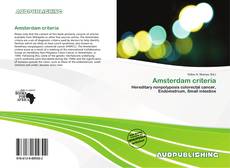 Portada del libro de Amsterdam criteria