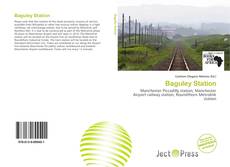 Обложка Baguley Station