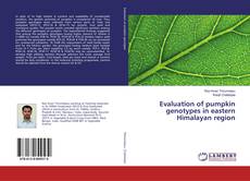 Bookcover of Evaluation of pumpkin genotypes in eastern Himalayan region