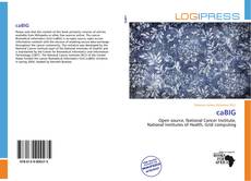 Copertina di caBIG