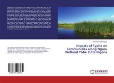 Impacts of Typha on Communities along Nguru Wetland Yobe State Nigeria的封面