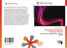 Amcazade Köprülü Hüseyin Pasha kitap kapağı