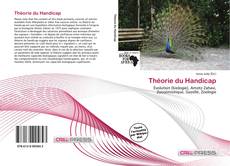 Copertina di Théorie du Handicap