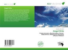 Angel Ortiz kitap kapağı