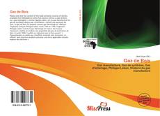 Portada del libro de Gaz de Bois