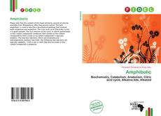 Amphibolic的封面
