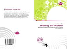 Copertina di Efficiency of Conversion