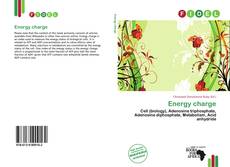 Copertina di Energy charge