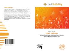 Leloir pathway kitap kapağı