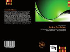 Copertina di Amina Gul-Bahar