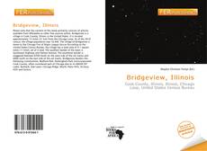 Bookcover of Bridgeview, Illinois