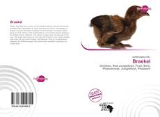 Braekel的封面