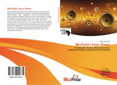 Обложка Morfydd Llwyn Owen