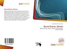 Bookcover of Burnt Prairie, Illinois
