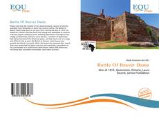 Bookcover of Battle Of Beaver Dams