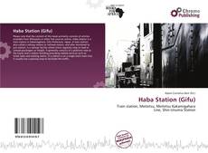 Copertina di Haba Station (Gifu)