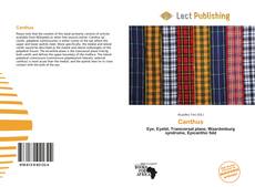 Buchcover von Canthus