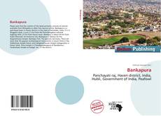 Capa do livro de Bankapura 