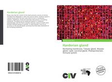 Portada del libro de Harderian gland