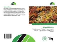 Borítókép a  Hyaloid fossa - hoz