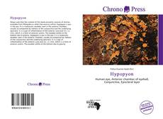 Hypopyon的封面