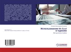 Buchcover von Использование Ms Excel в туризме