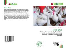 Iowa Blue的封面