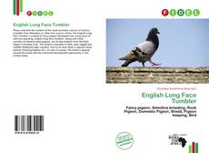 English Long Face Tumbler的封面