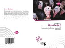 Обложка Slate (Turkey)