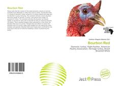 Bourbon Red的封面