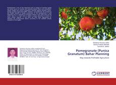 Pomegranate (Punica Granatum) Bahar Planning的封面