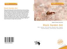 Bookcover of Black Garden Ant