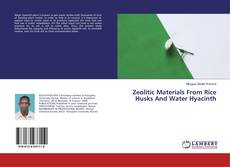 Capa do livro de Zeolitic Materials From Rice Husks And Water Hyacinth 