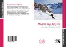 Buchcover von Noyelles-sous-Bellonne