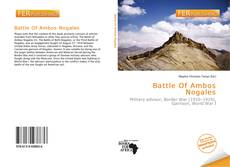 Bookcover of Battle Of Ambos Nogales