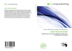 Bookcover of Julio Vizcarrondo