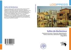 Buchcover von Salles-de-Barbezieux