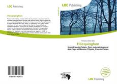 Buchcover von Hocquinghen