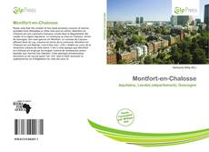 Montfort-en-Chalosse kitap kapağı