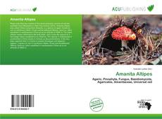 Copertina di Amanita Altipes