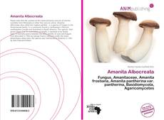 Portada del libro de Amanita Albocreata