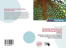 Couverture de Articular branches of descending genicular artery