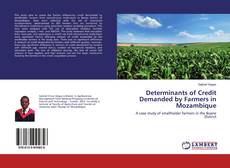 Portada del libro de Determinants of Credit Demanded by Farmers in Mozambique